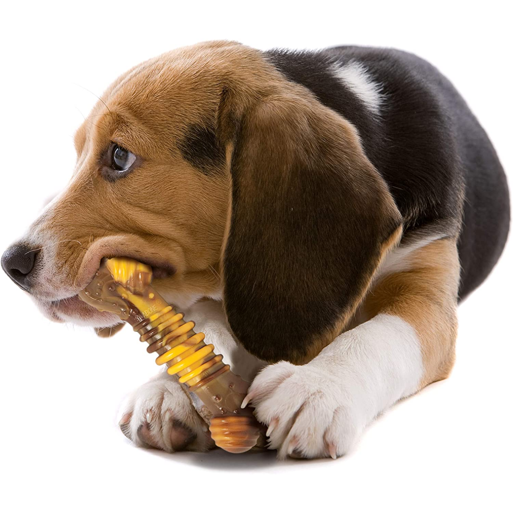 Nylabone Power Chew Flavor Frenzy Textured Bone Toy for Dogs (Yellow, Brown)