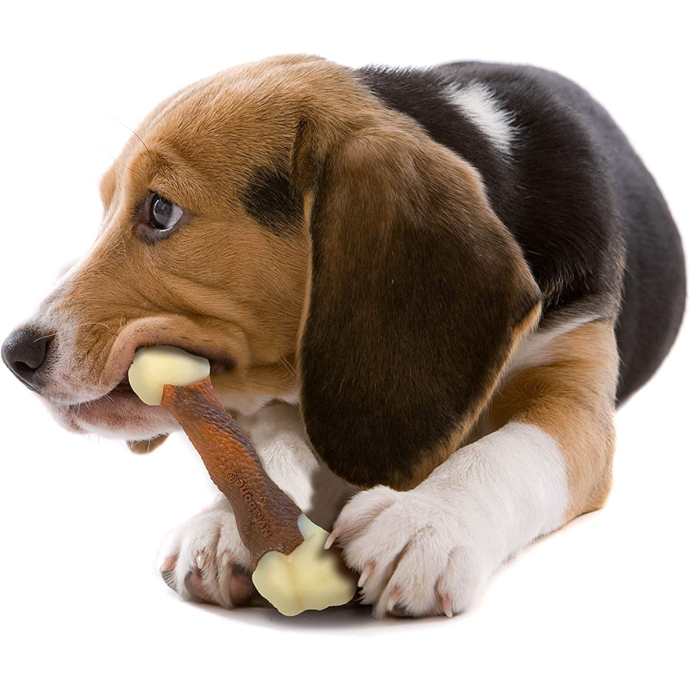 Nylabone Beef Flavor Power Chew Femur Dog Bone for Dogs