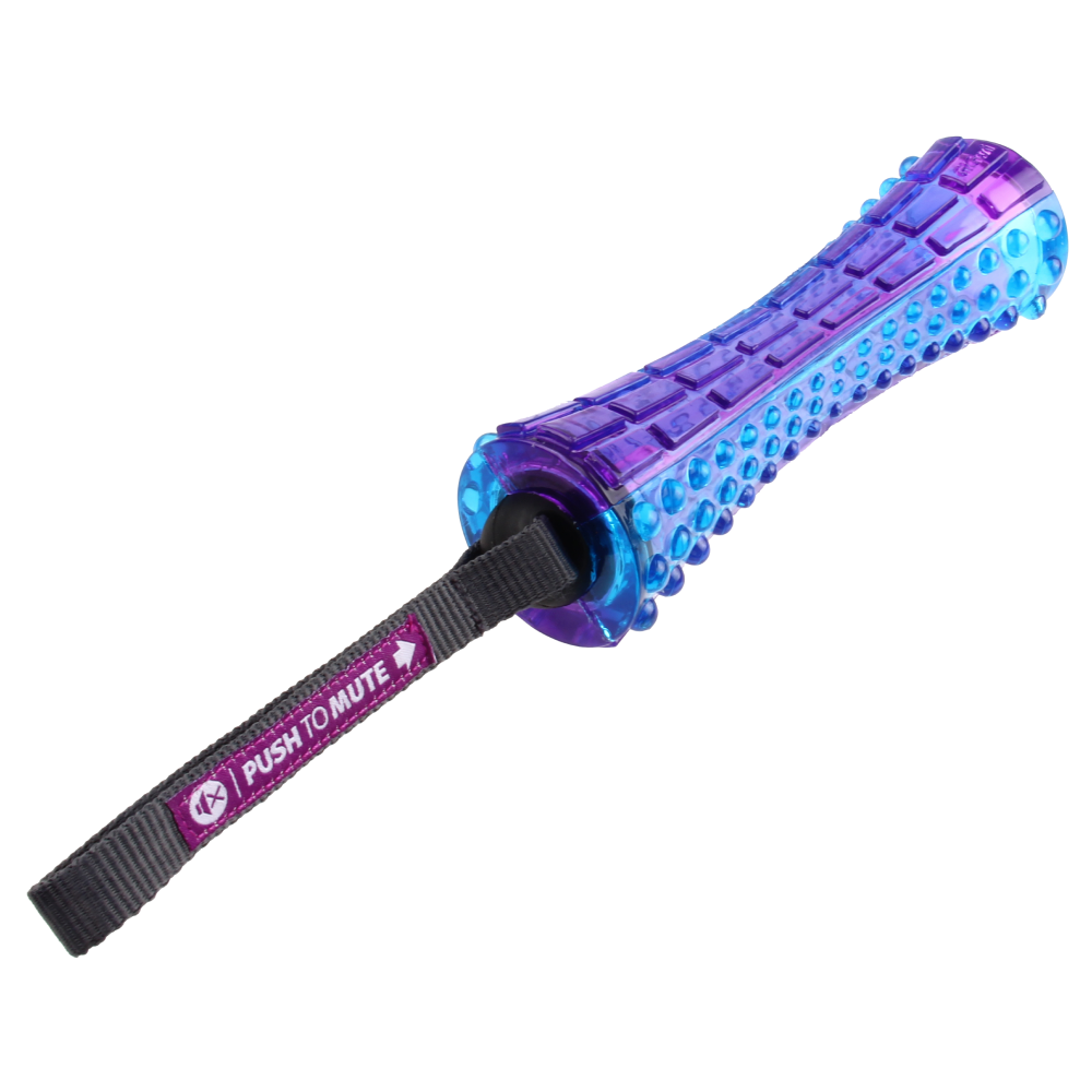 GiGwi Push To Mute Johnny Stick for Dogs (Purple/Blue)