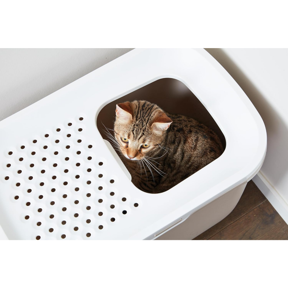 Savic Hop In Modern Litter Tray Box for Cats (Mocha) Litter Supplies Savic Dropship