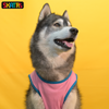 Skatrs Pawsitively Adorable Printed Summer Cotton T Shirt for Dogs and Cats (Pink)
