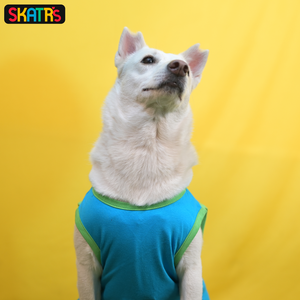 Skatrs Bitches Love Me Printed Summer Cotton T Shirt for Dogs and Cats (Blue)