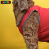Skatrs Sloppy Kisser Printed Summer Cotton T Shirt for Dogs and Cats (Red) Both-Clothing & Accessories Skatrs