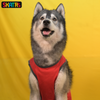 Skatrs Sloppy Kisser Printed Summer Cotton T Shirt for Dogs and Cats (Red) Both-Clothing & Accessories Skatrs