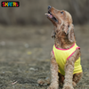 Skatrs No Tricks Only Treats Printed Summer Cotton T Shirt Dogs and Cats (Yellow)