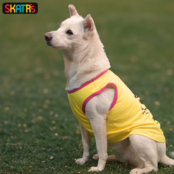 Skatrs No Tricks Only Treats Printed Summer Cotton T Shirt Dogs and Cats (Yellow)