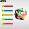 Skatrs Noodle Training Toy Ball for Dogs and Cats (Multi Color) Both-Toys Skatrs