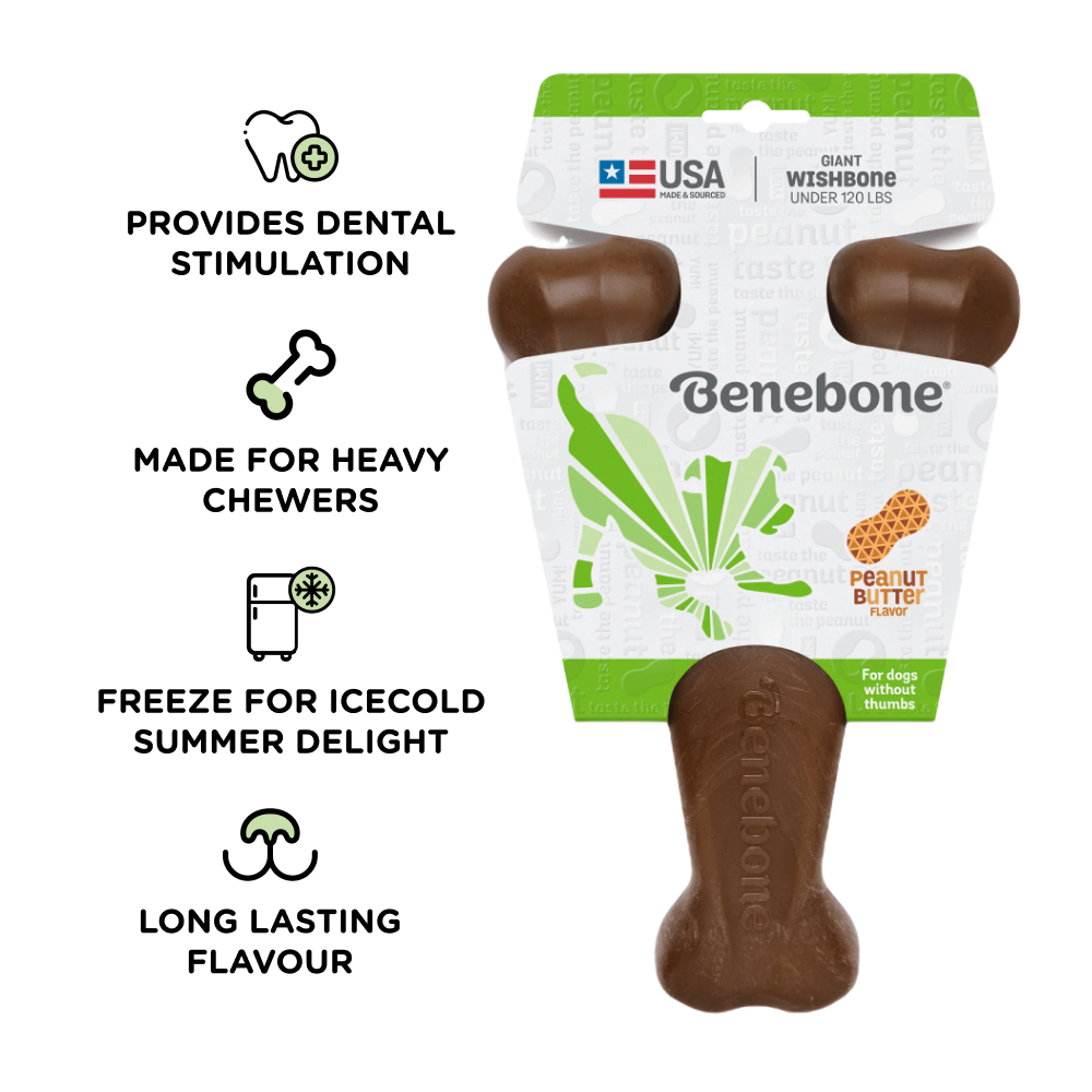 Benebone Peanut Butter Flavored Wishbone Chew Toy for Dogs | For Aggressive Chewers Dogs-Toys Benebone