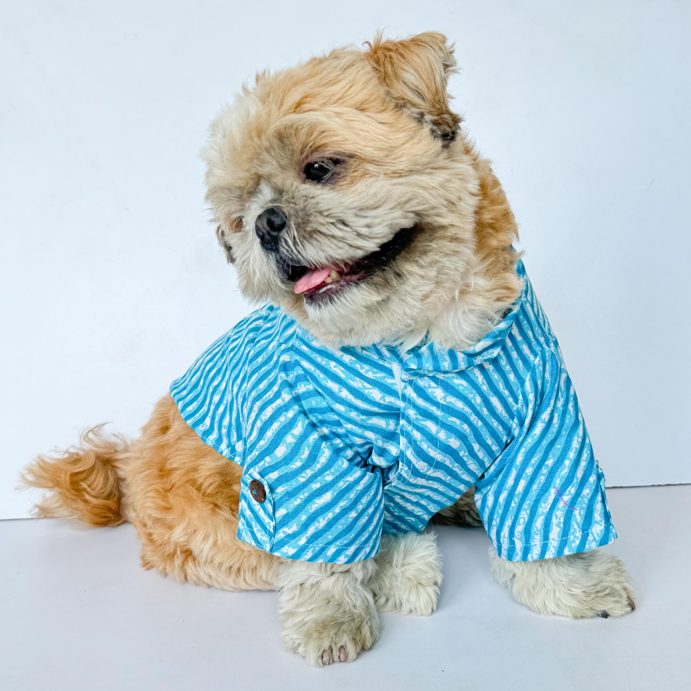 Pawgypets Lehriya Kurta for Dogs and Cats (Blue)