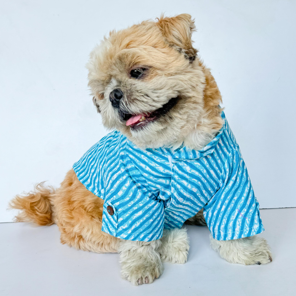 Pawgypets Lehriya Kurta for Dogs and Cats (Blue) Both-Clothing & Accessories Pawgypets Dropship XXL