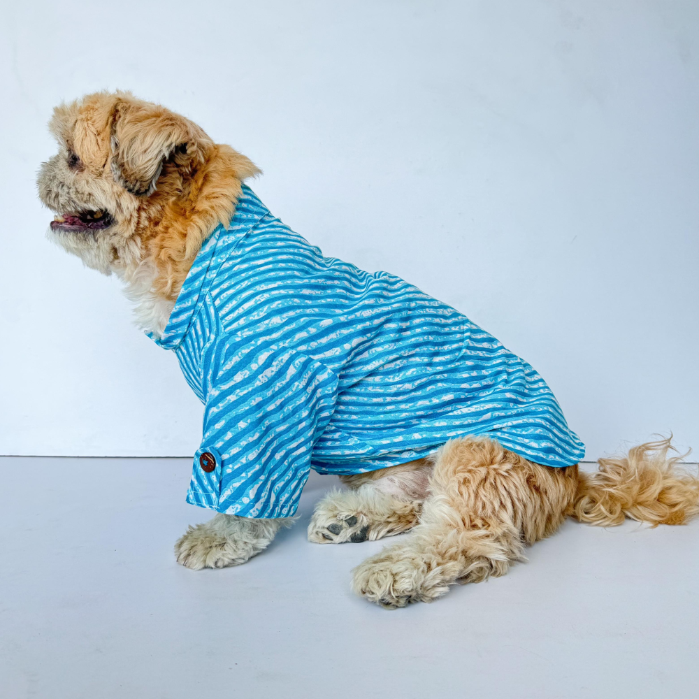 Pawgypets Lehriya Kurta for Dogs and Cats (Blue)