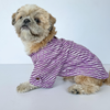 Pawgypets Lehriya Kurta for Dogs and Cats (Purple) Both-Clothing & Accessories Pawgypets Dropship