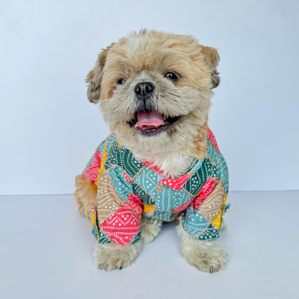 Pawgypets Bandani Kurta for Dogs and Cats (Multi Color) Both-Clothing & Accessories Pawgypets Dropship XXS
