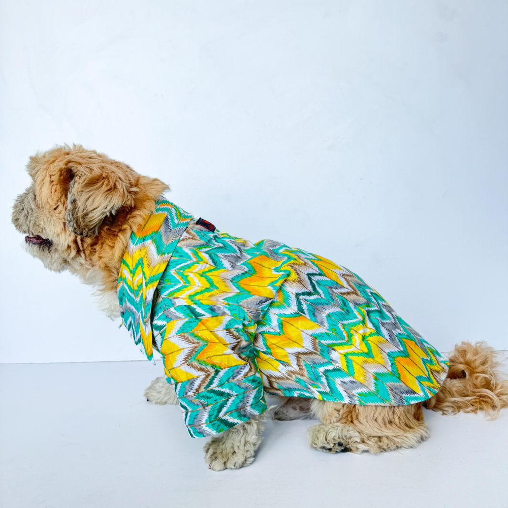 Pawgypets Zig Zag Kurta for Dogs and Cats (Green)