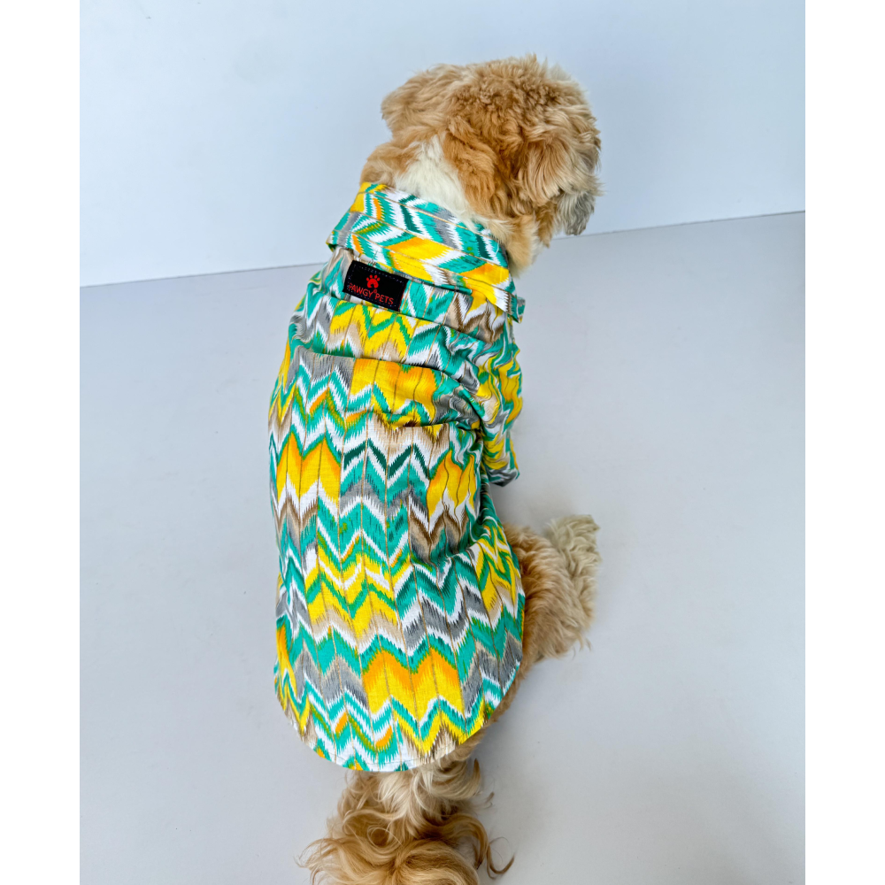 Pawgypets Zig Zag Kurta for Dogs and Cats (Green)