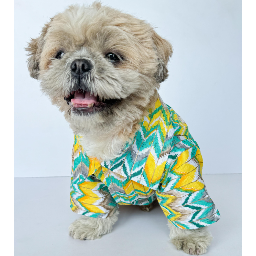 Pawgypets Zig Zag Kurta for Dogs and Cats (Green)