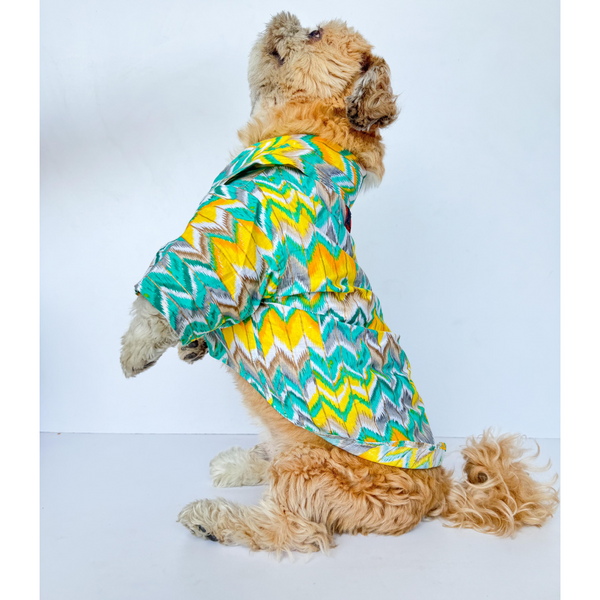 Pawgypets Zig Zag Kurta for Dogs and Cats (Green)