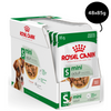 Royal Canin Mini Adult Dog Wet Food Dogs-Wet Food Royal Canin 48x85g