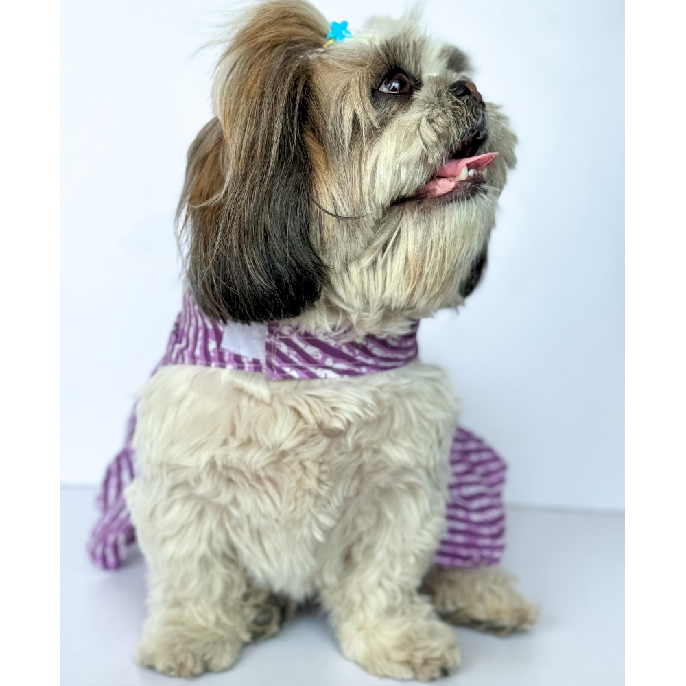 Pawgypets Lehriya Dress for Dogs and Cats (Purple)