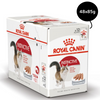 Royal Canin Instinctive Adult Loaf Cat Wet Food