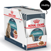 Royal Canin Hairball Care Wet Cat Food (85g Pouch) Cats-Wet Food Royal Canin 24x85g