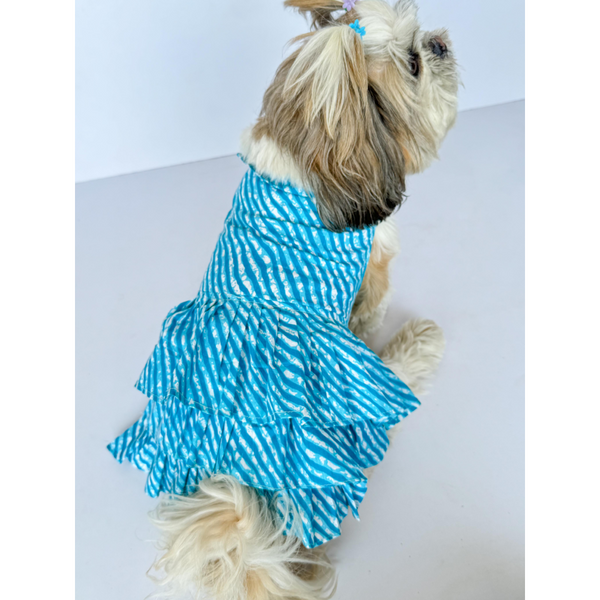 Pawgypets Lehriya Dress for Dogs and Cats (Blue)