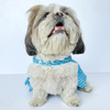 Pawgypets Lehriya Dress for Dogs and Cats (Blue)