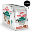 Royal Canin Instinctive 7+ Gravy Cat Wet Food Cats-Wet Food Royal Canin 48x85g