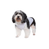 Talking Dog Club Tanky&