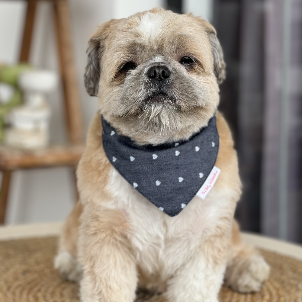 Pawgypets Hearty Denim Bandana for Dogs and Cats (Denim)