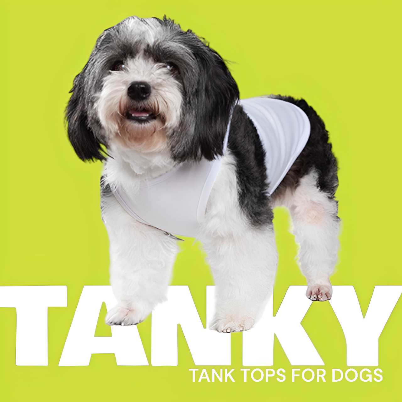Talking Dog Club Tanky&