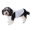 Talking Dog Club Tanky&