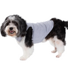 Talking Dog Club Tanky&