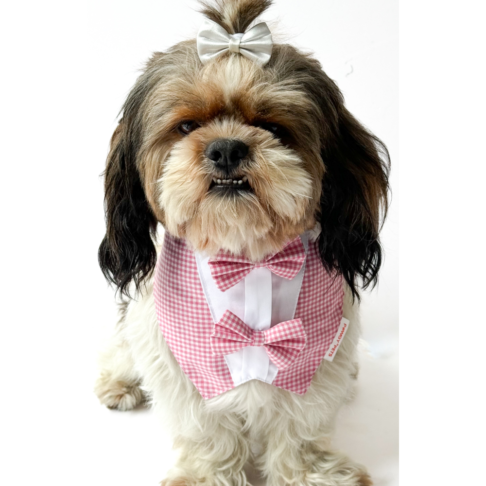 Pawgypets Casual Check Bandana for Dogs and Cats (Pink)