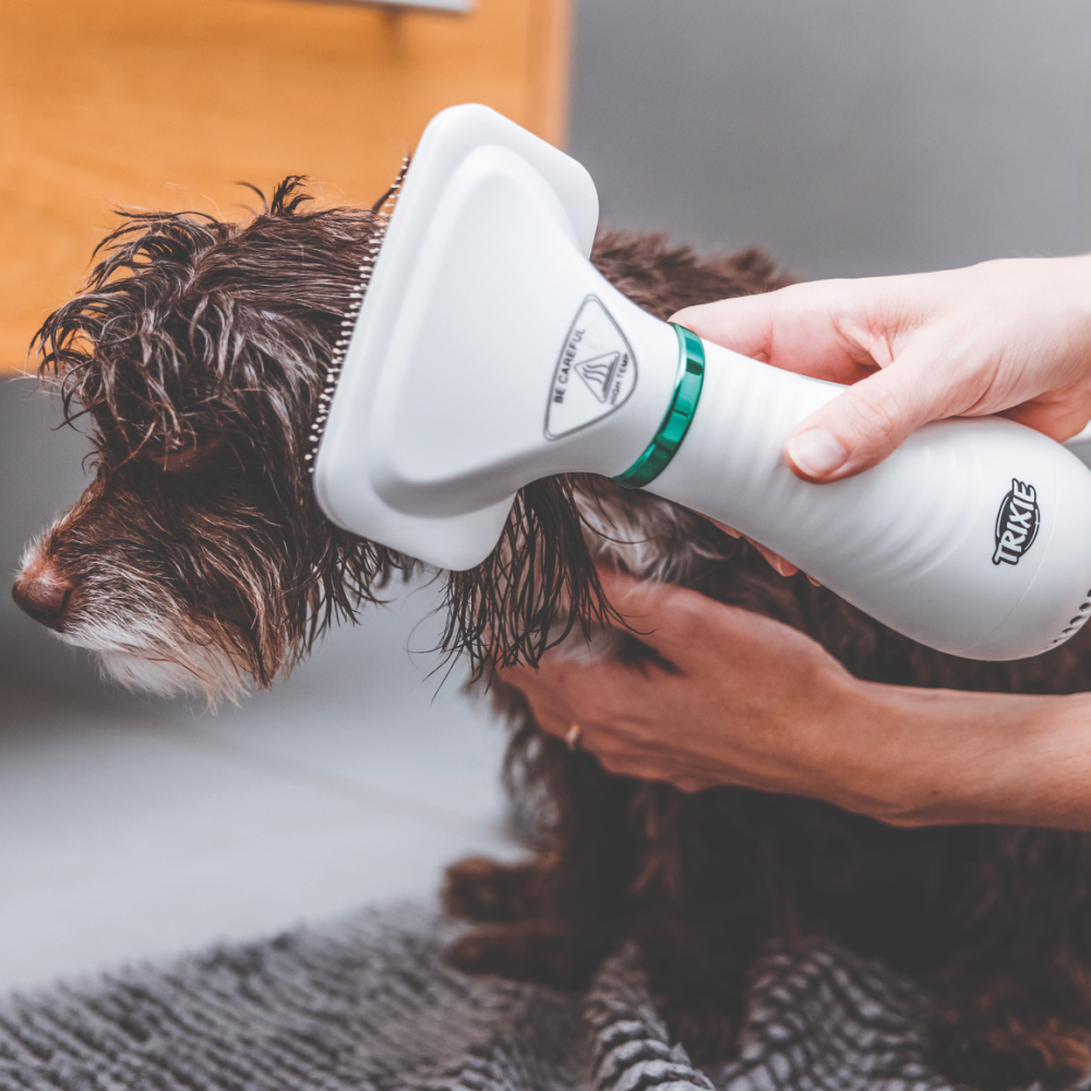 Trixie Self Cleaning Warm Air with Adjustable Heating Brush for Dogs and Cats Both-Grooming Supplies Trixie Dropship Pack of 1