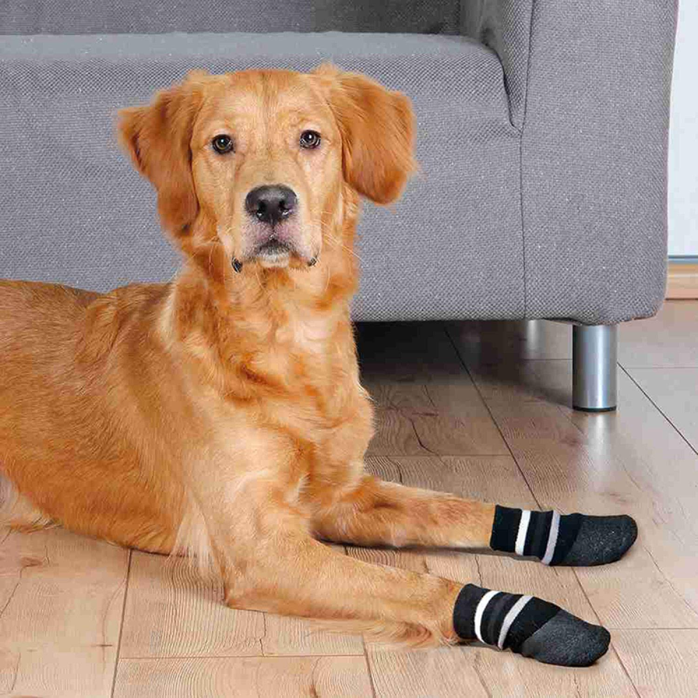 Trixie Non Slip with All Round Rubber Coated Socks for Dogs (Black, Set of 4) Dogs-Clothing & Accessories Trixie