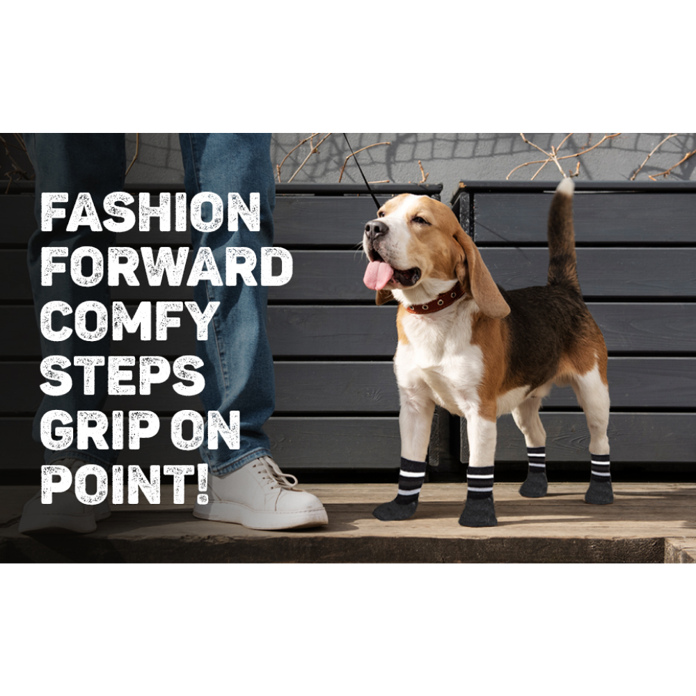 Trixie Non Slip with All Round Rubber Coated Socks for Dogs (Black, Set of 4) Dogs-Clothing & Accessories Trixie