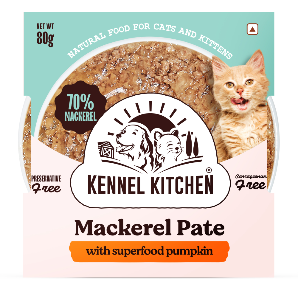 Kennel Kitchen Mackerel Pate with Superfood Pumpkin Cat Wet Food