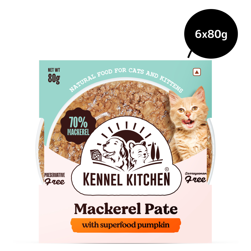 Kennel Kitchen Mackerel Pate with Superfood Pumpkin Cat Wet Food