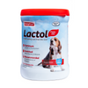 Beaphar Lactol New Born Milk Replacement Powder for Puppies Dogs-Health & Wellness Beaphar