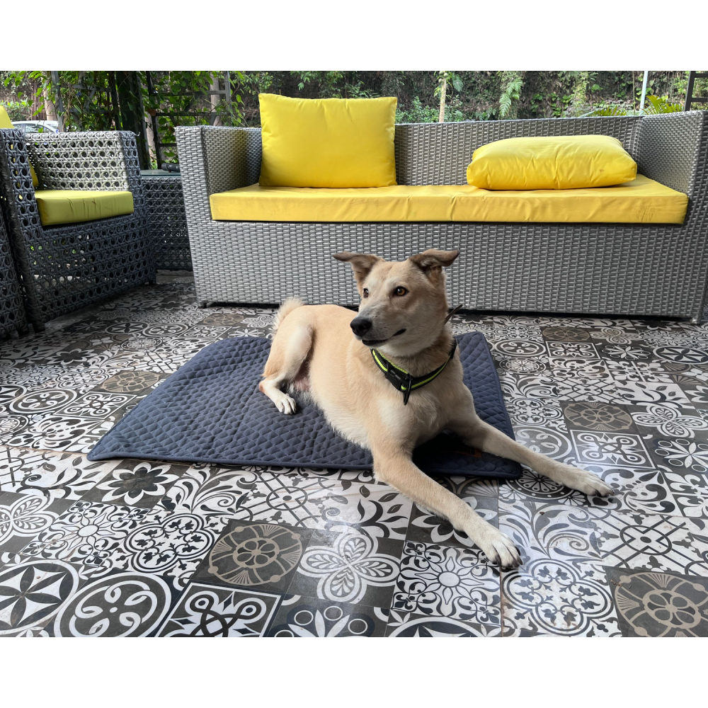Petter World Multipurpose Breathable Summer Mat for Dogs (Autumn Grey) Both-Bedding, Mats & Travel Supplies Petter World Dropship XL