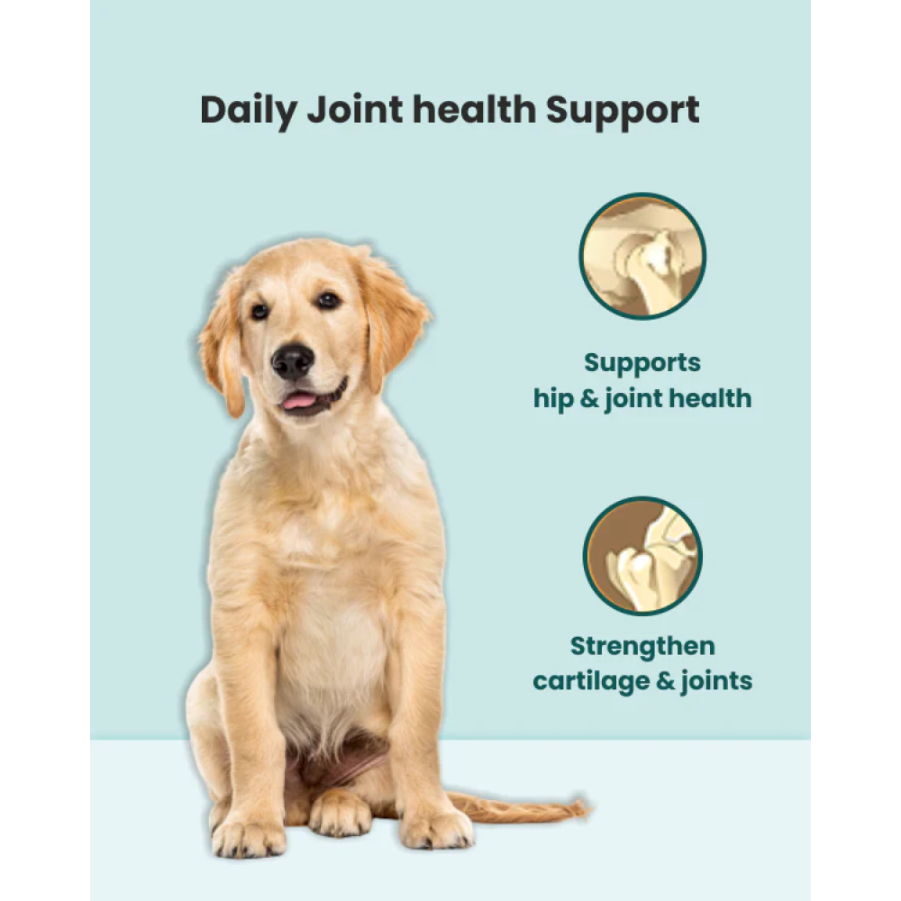 Bark Out Loud Hip and Joint Supplements for Dogs
