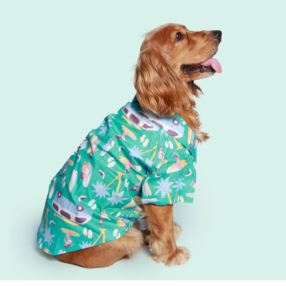 Pet Set Go Beach Club Cotton Shirt for Dogs (Blue)