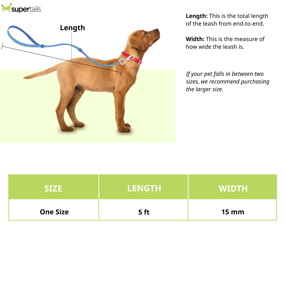 Pawpourri Retractable Leash for Dogs (Orange)