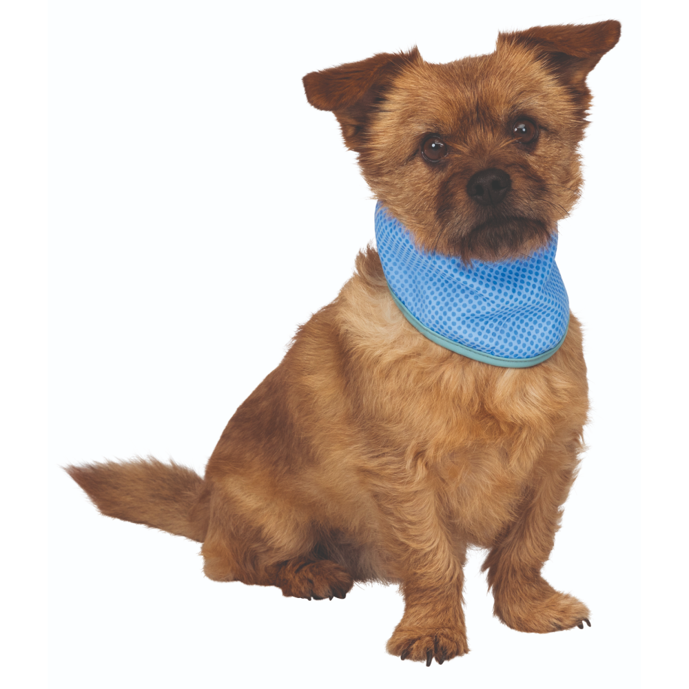 Trixie Cooling Bandana for Dogs (Blue)