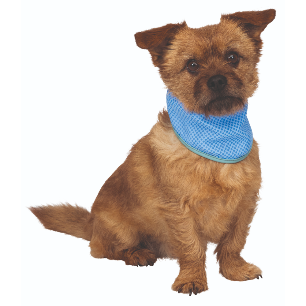 Trixie Cooling Bandana for Dogs (Blue) Dogs-Clothing & Accessories Trixie