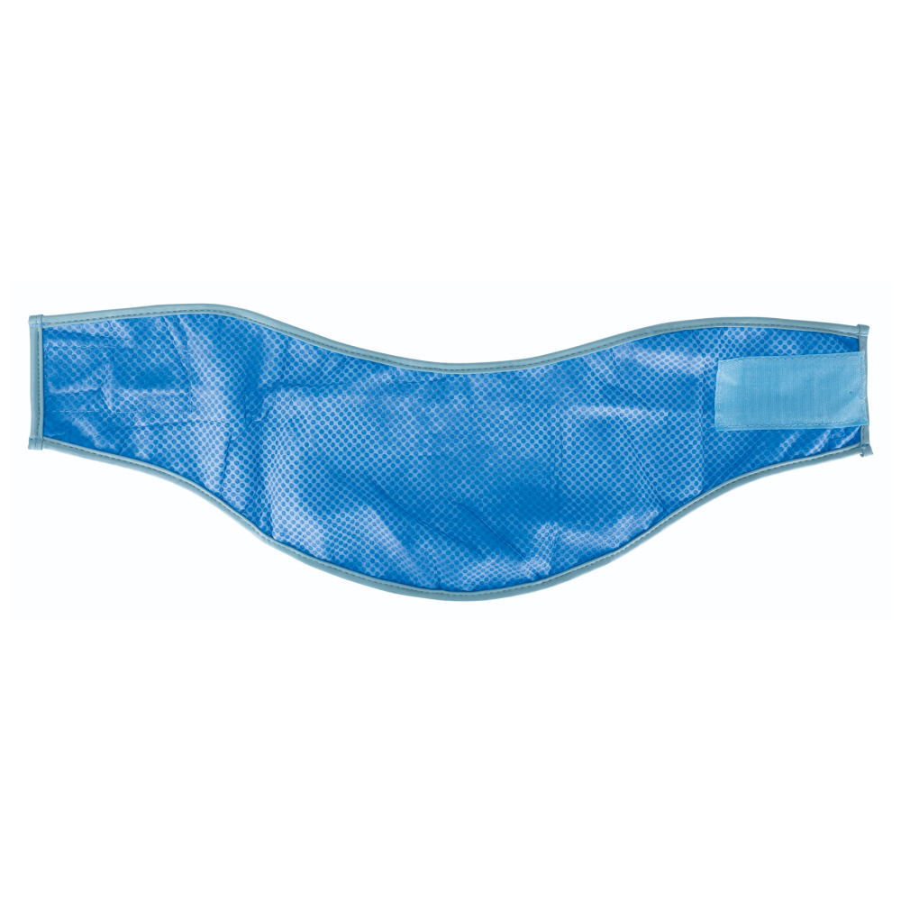 Trixie Cooling Bandana for Dogs (Blue)