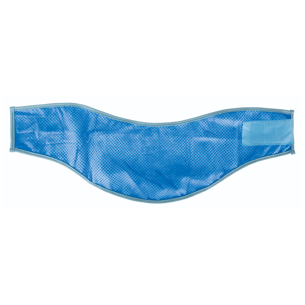 Trixie Cooling Bandana for Dogs (Blue) Dogs-Clothing & Accessories Trixie