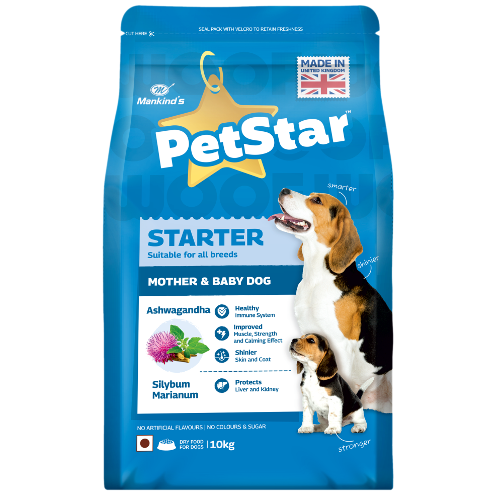 Best starter dog food best sale