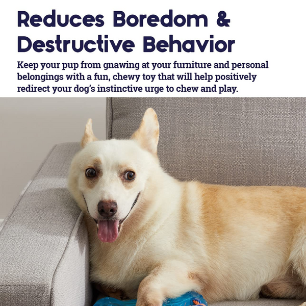 Petstages Orka Bone chew Toy for Dogs